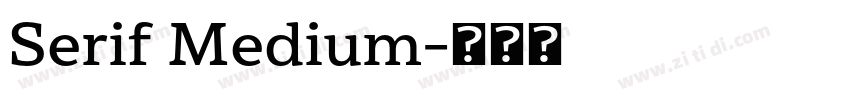 Serif Medium字体转换